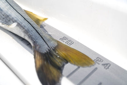 INSTOCK Seadek 36" Laser Fish Ruler - Storm Gray - 22135-80038
