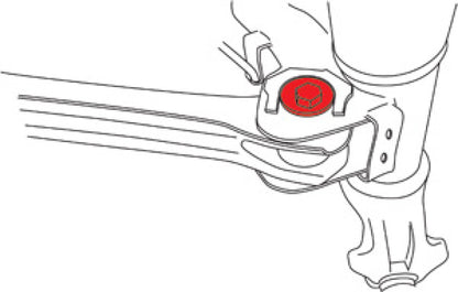 Line Art