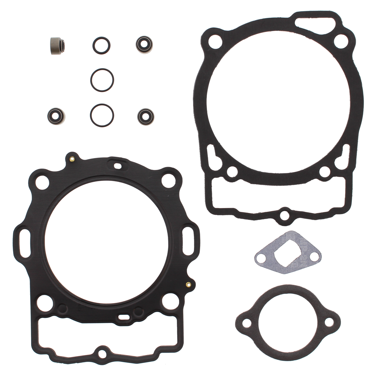 8160-60abd46a44701.png