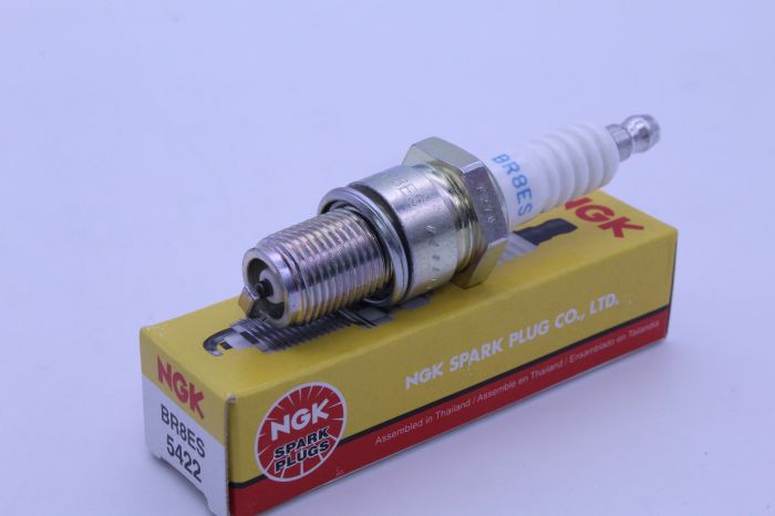 BR8ES_1697477016.JPG
