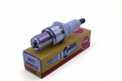 BR9ECSS_1697550941.png