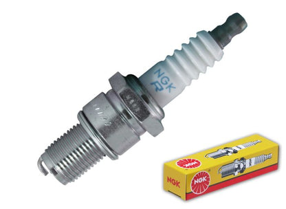 BR9EG-N-8_1723479332.jpg