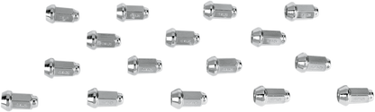 DLUG11_1.png