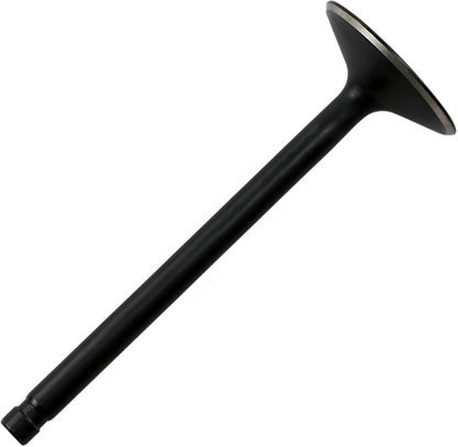 DS198806_0.png