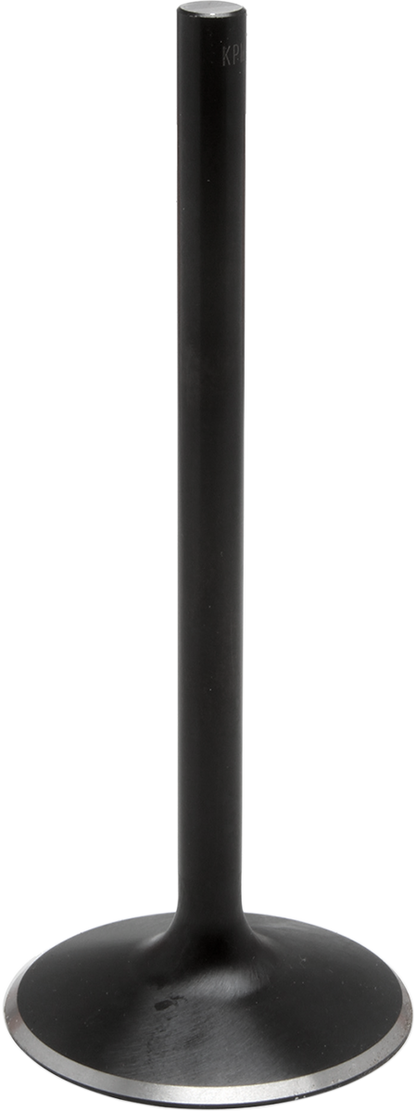 DS198974_0.png