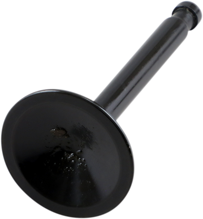 DS198976_0.png