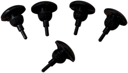 DS240008_0.png