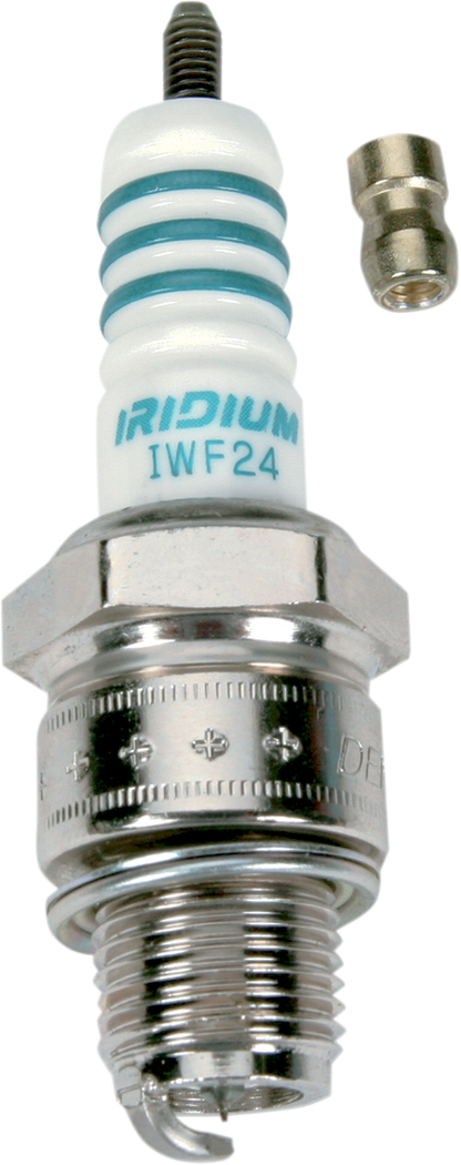 IWF24_0.png