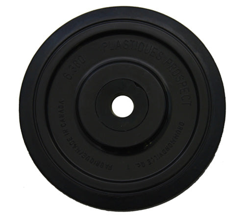 KX411668.jpg