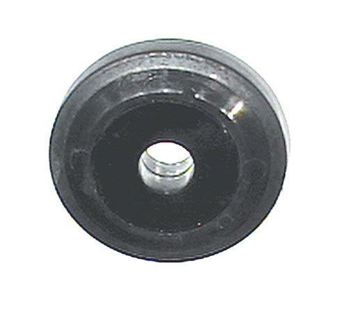 KX411670.jpg