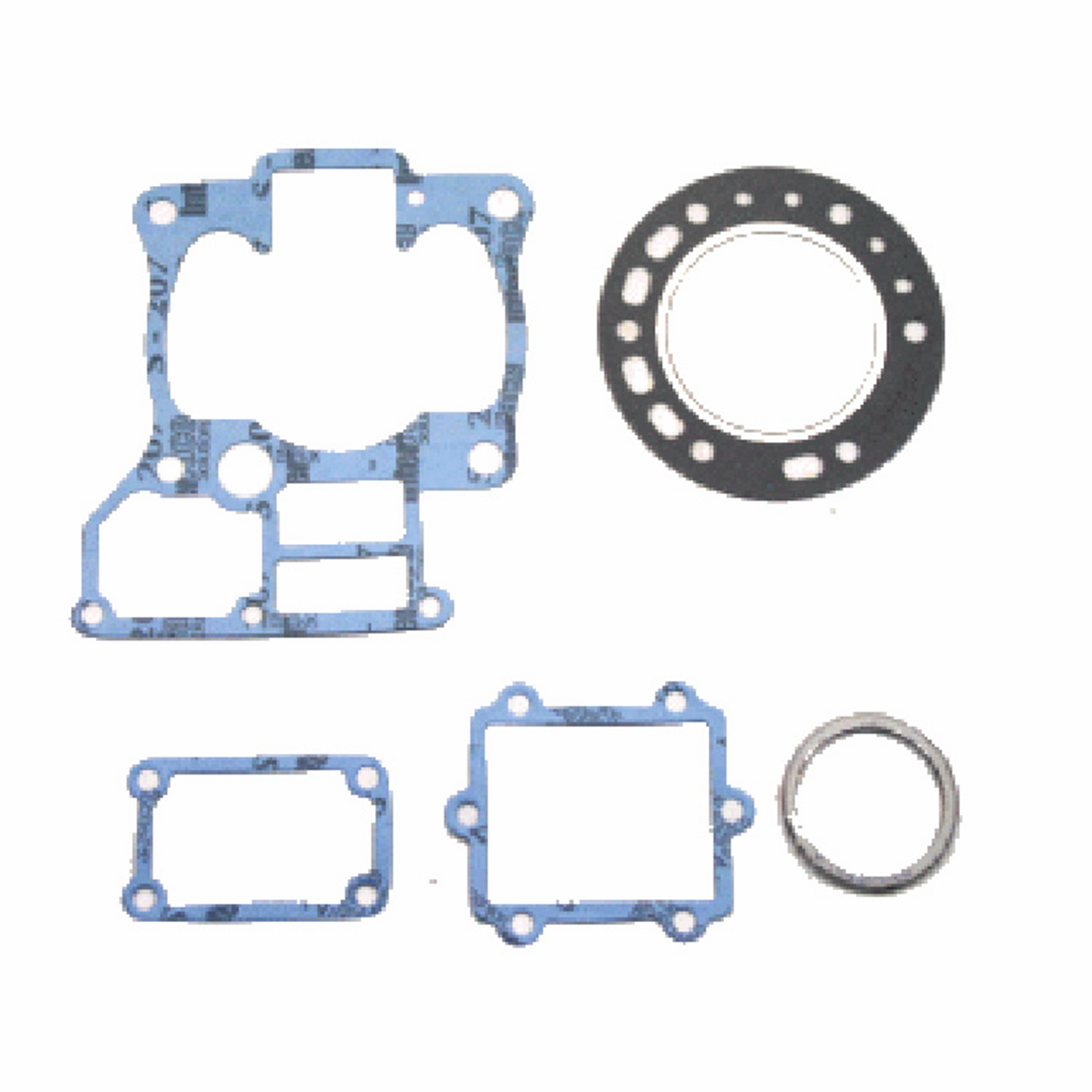 LG11B6B6BF-20E7-4001-82C0-8BBEE4A2DB82.jpg