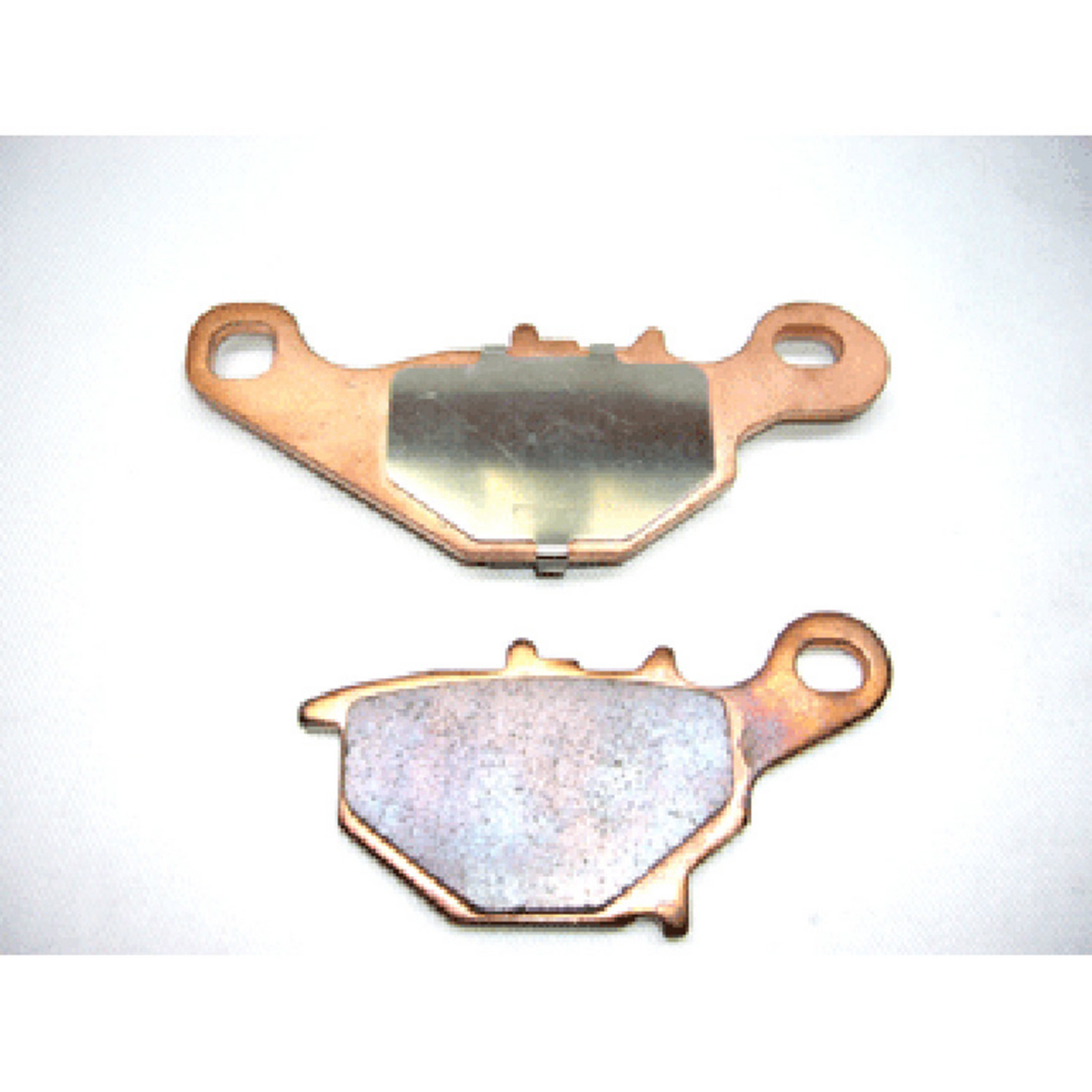 LG6A5CE384-0C44-4D87-9ED4-52B7FECB0F81.jpg