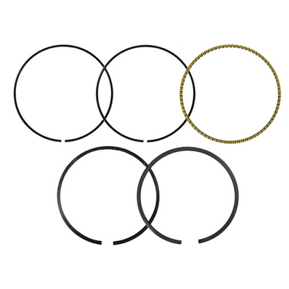 LGB9CEEB81-81B3-4EC2-BEC4-977B068BF92C.jpg