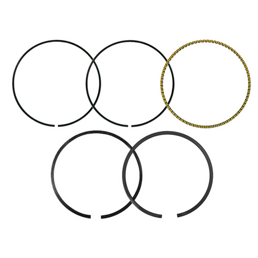 LGB9CEEB81-81B3-4EC2-BEC4-977B068BF92C.jpg