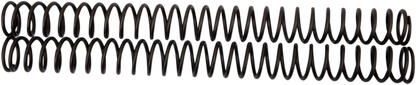 LSA048_1.png