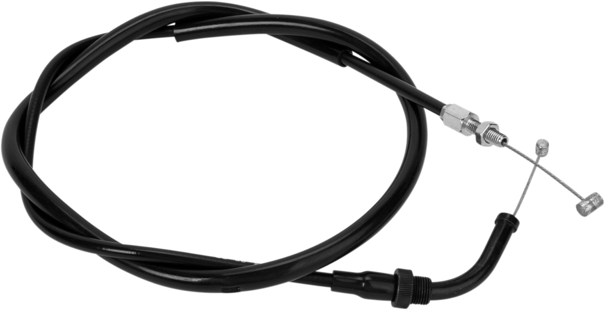 MP02019_1.png