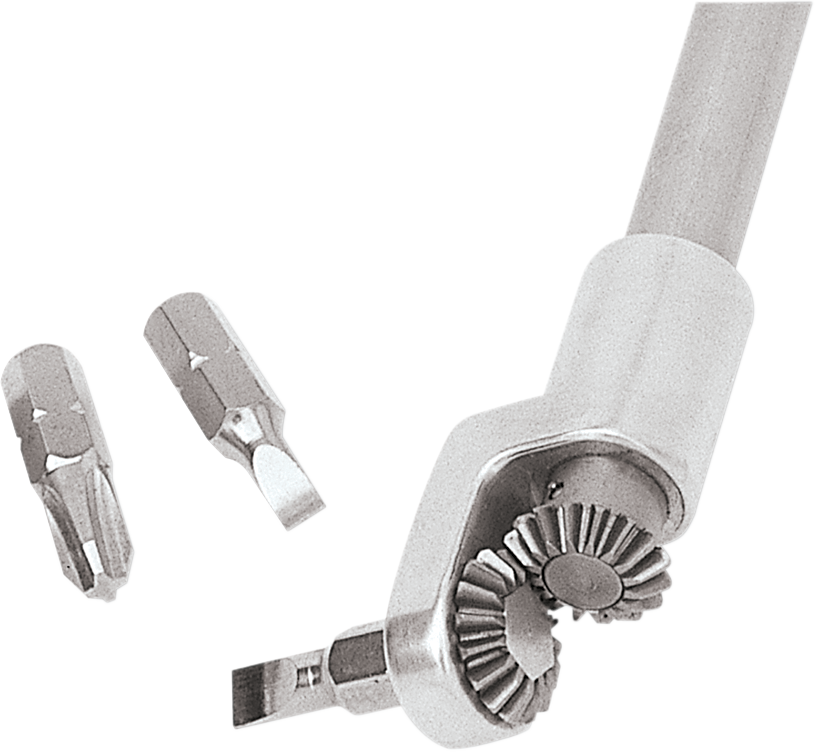 MP080229_2.png
