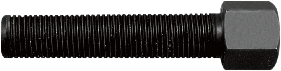 P516_0.png