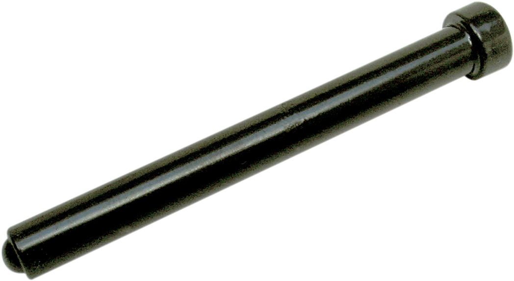 P562_2.png