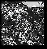 SHT40F Hydro-turf Sheet 40X62 BOAT PWC MAT BLACK/WHITE MARBLE FLAT W/3M