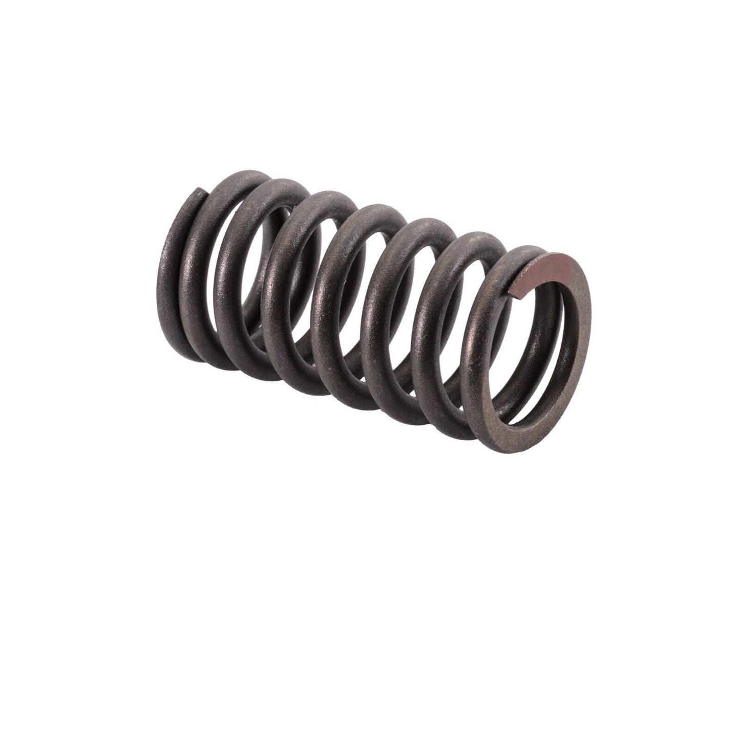 Valve Spring for Honda - F-12X /R-12X 14751-HW3-670 2002-2006