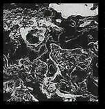 SHT40F Hydro-turf Sheet 40X62 BOAT PWC MAT BLACK/WHITE MARBLE FLAT