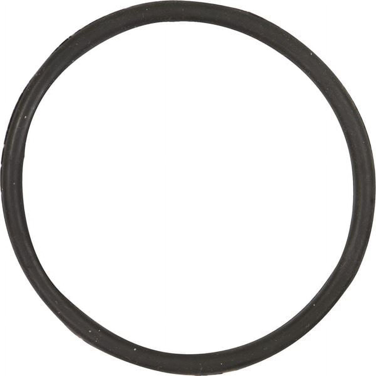 INSTOCK Fire Power LC 30-1281 LC2 Utility Container O-Ring 300-10111