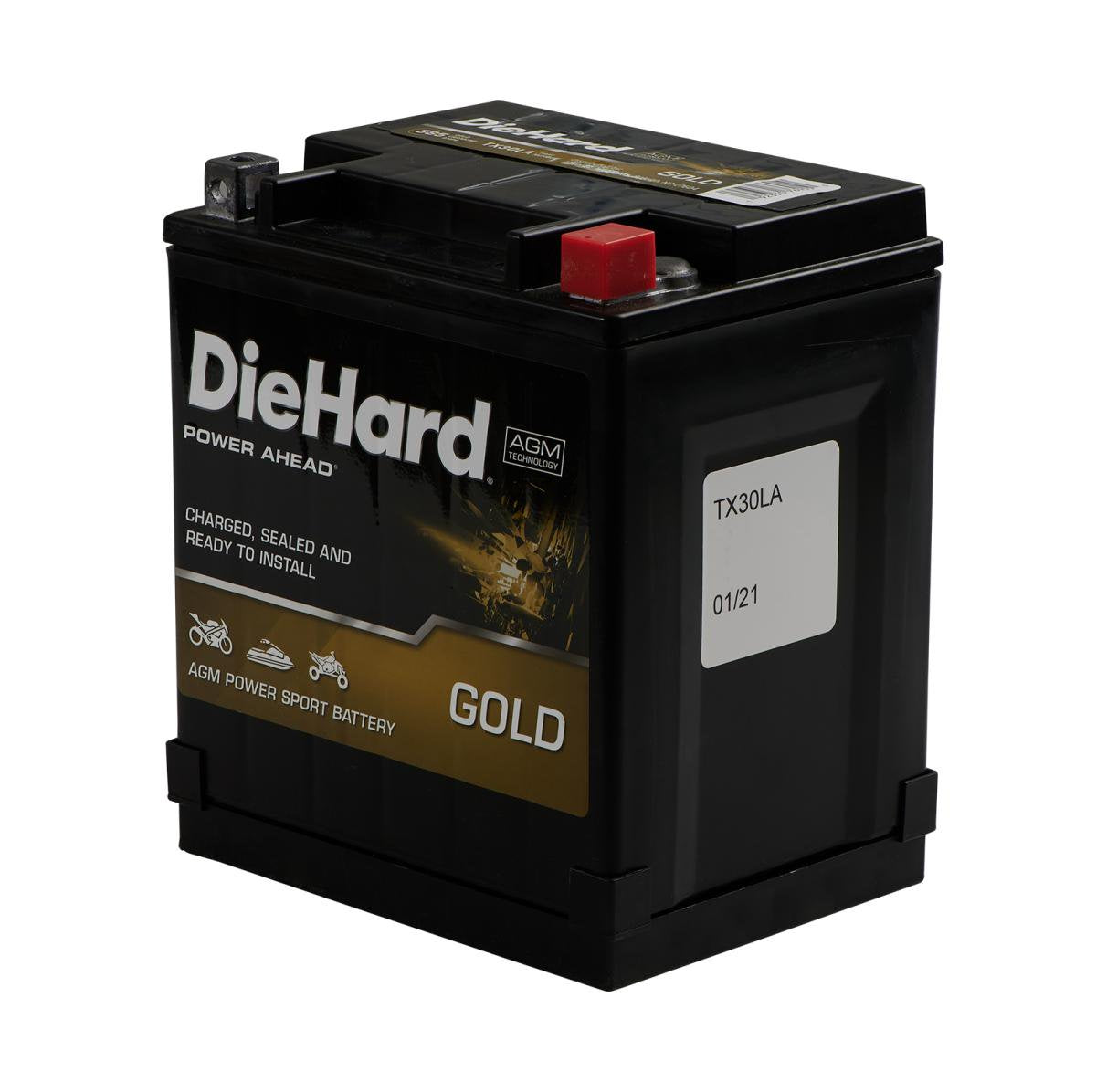 SBT DieHard TX30L PWC Battery Sealed 30 Amp-Hr. Rating 2002-2021 Seadoo GTX/RXP/RXT/GTI/Islandia/Wake - SB30CL-BS