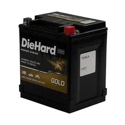 SBT DieHard TX30L PWC Battery Sealed 30 Amp-Hr. Rating 2002-2021 Seadoo GTX/RXP/RXT/GTI/Islandia/Wake - SB30CL-BS