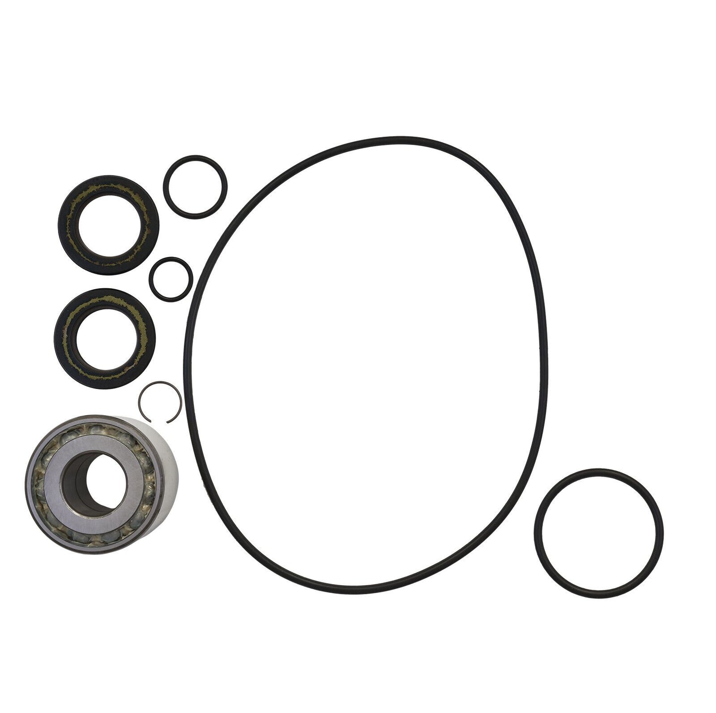Jet Pump Rebuild Kit for Honda F-12 2006